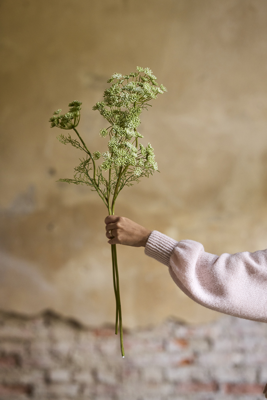 /images/imagebankSeasons/small/Mr Plant SS 2024/2620-50,8084-50,4697-50,4699-50,9668-50,4199-70 (2).jpg